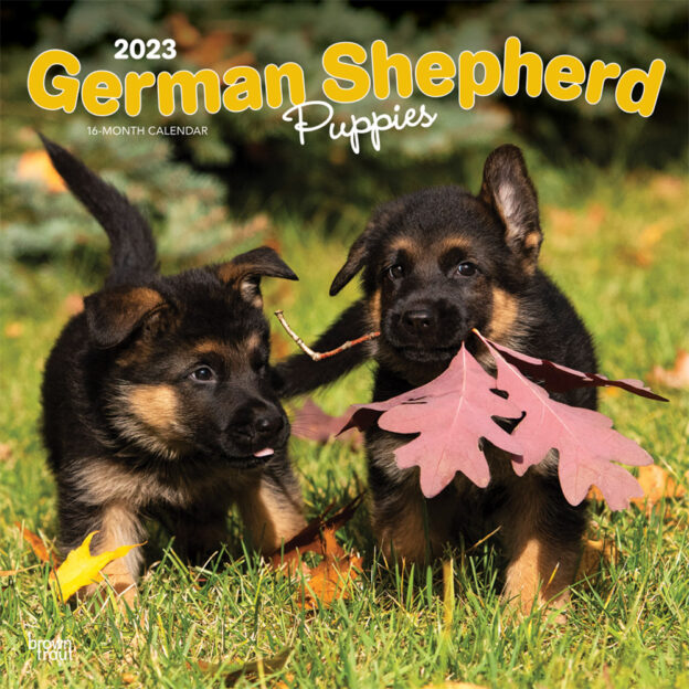 German Shepherd Puppies | 2023 12 x 24 Inch Monthly Square Wall Calendar | BrownTrout | Animals Dog Breeds Puppy DogDays