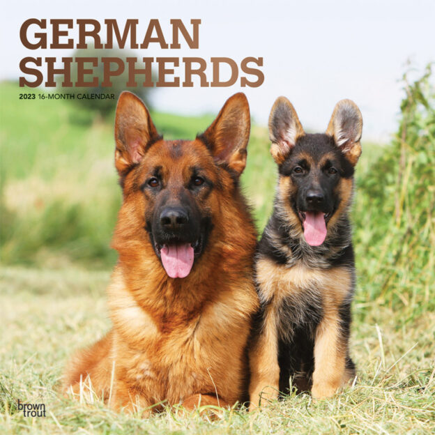 German Shepherds | 2023 12 x 24 Inch Monthly Square Wall Calendar | Foil Stamped Cover | BrownTrout | Animals Dog Breeds DogDays