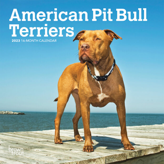 American Pit Bull Terriers | 2023 7 x 14 Inch Monthly Mini Wall Calendar | BrownTrout | Animals Dog Breeds DogDays