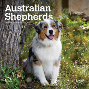 Australian Shepherds | 2023 7 x 14 Inch Monthly Mini Wall Calendar | BrownTrout | Animals Dog Breeds DogDays