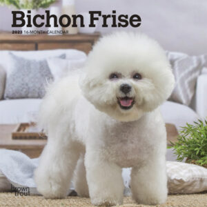 Bichon Frise | 2023 7 x 14 Inch Monthly Mini Wall Calendar | BrownTrout | Animals Dog Breeds DogDays