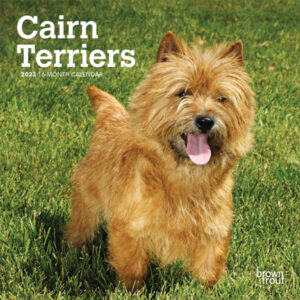 Cairn Terriers | 2023 7 x 14 Inch Monthly Mini Wall Calendar | BrownTrout | Animals Dog Breeds DogDays