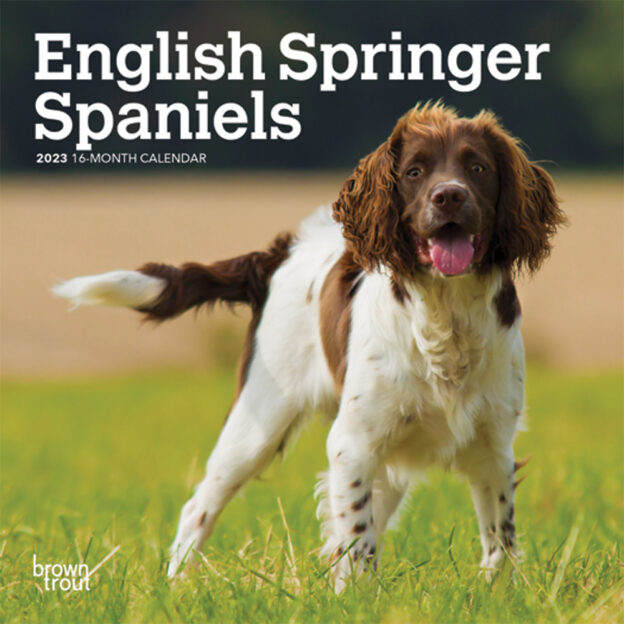 English Springer Spaniels | 2023 7 x 14 Inch Monthly Mini Wall Calendar | BrownTrout | Animals Dog Breeds DogDays