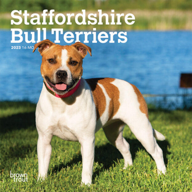 Staffordshire Bull Terriers | 2023 7 x 14 Inch Monthly Mini Wall Calendar | BrownTrout | Staffies Dog Breeds DogDays