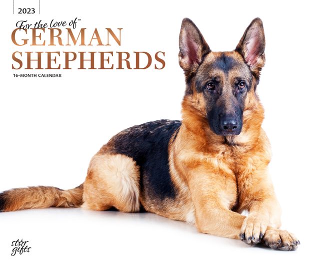 For the Love of German Shepherds | 2023 14 x 24 Inch Monthly Deluxe Wall Calendar | Foil Stamped Cover and Stickers | StarGifts | Animal Dog Breeds DogDays